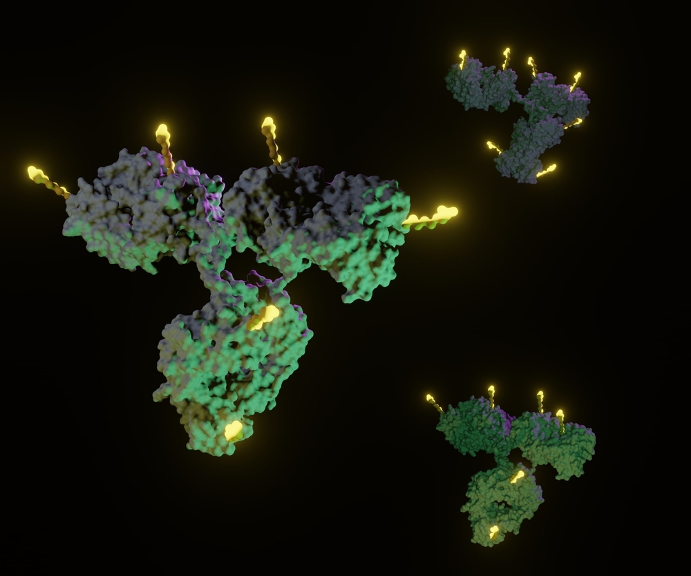 Gain a Deeper Understanding of Antibody-Drug Conjugates in Cancer Treatment