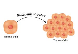 Tumour cell