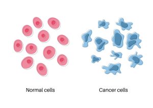 Cancer cells